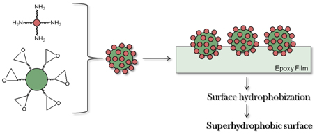 preparation of superhydrophobic films based on raspberry-like particles