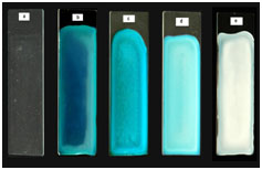 Polymer films with various nanosilica contents