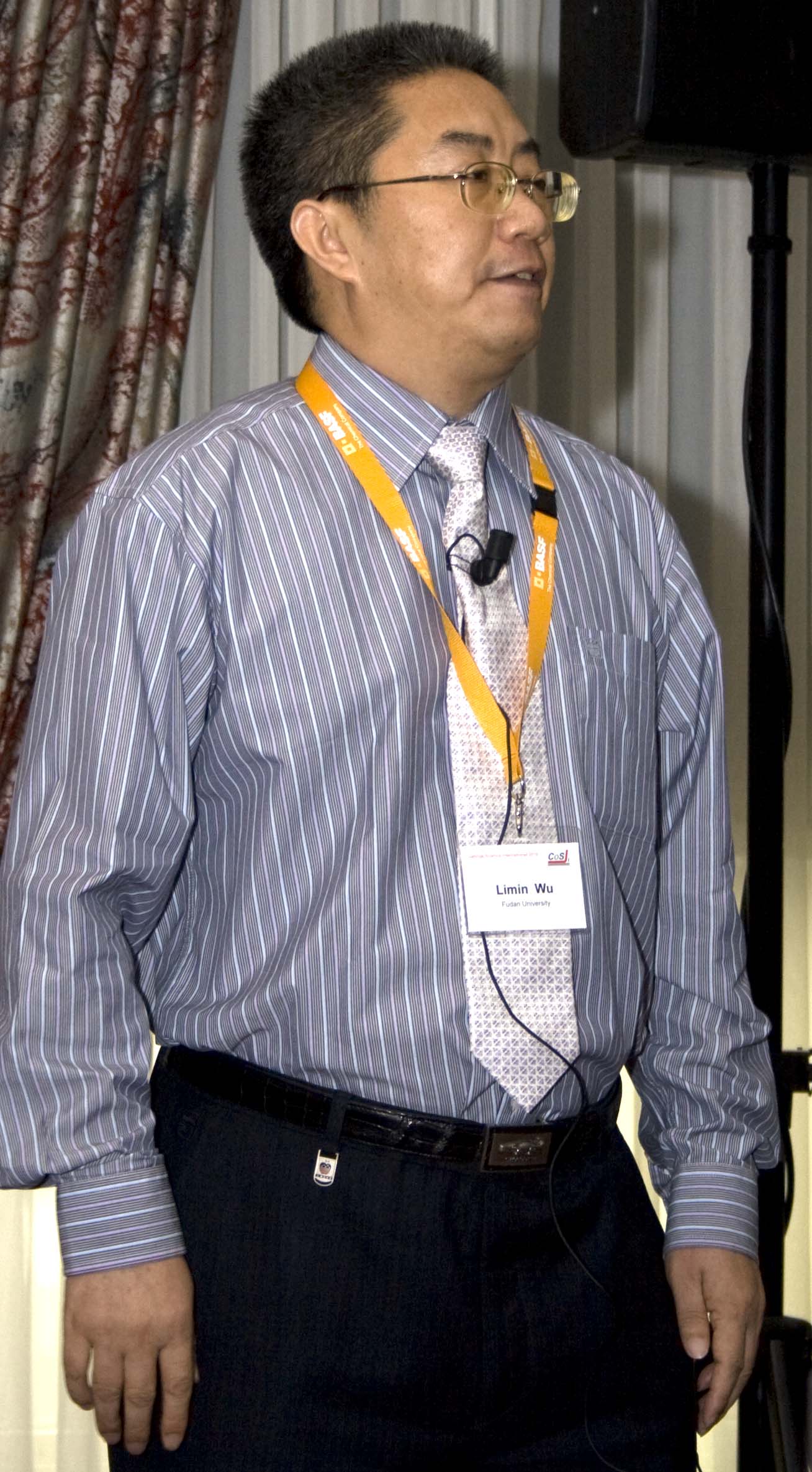 Professor Limin Wu